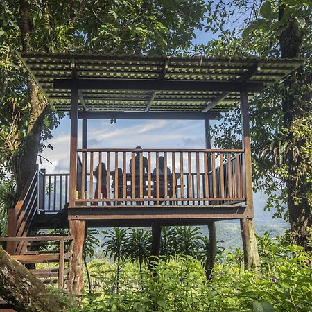 "Hana'S Celeste Retreat" Large Modern Villa Sleeps 6 On 20 Acres Of Nature! Bijagua de Upala Exterior foto