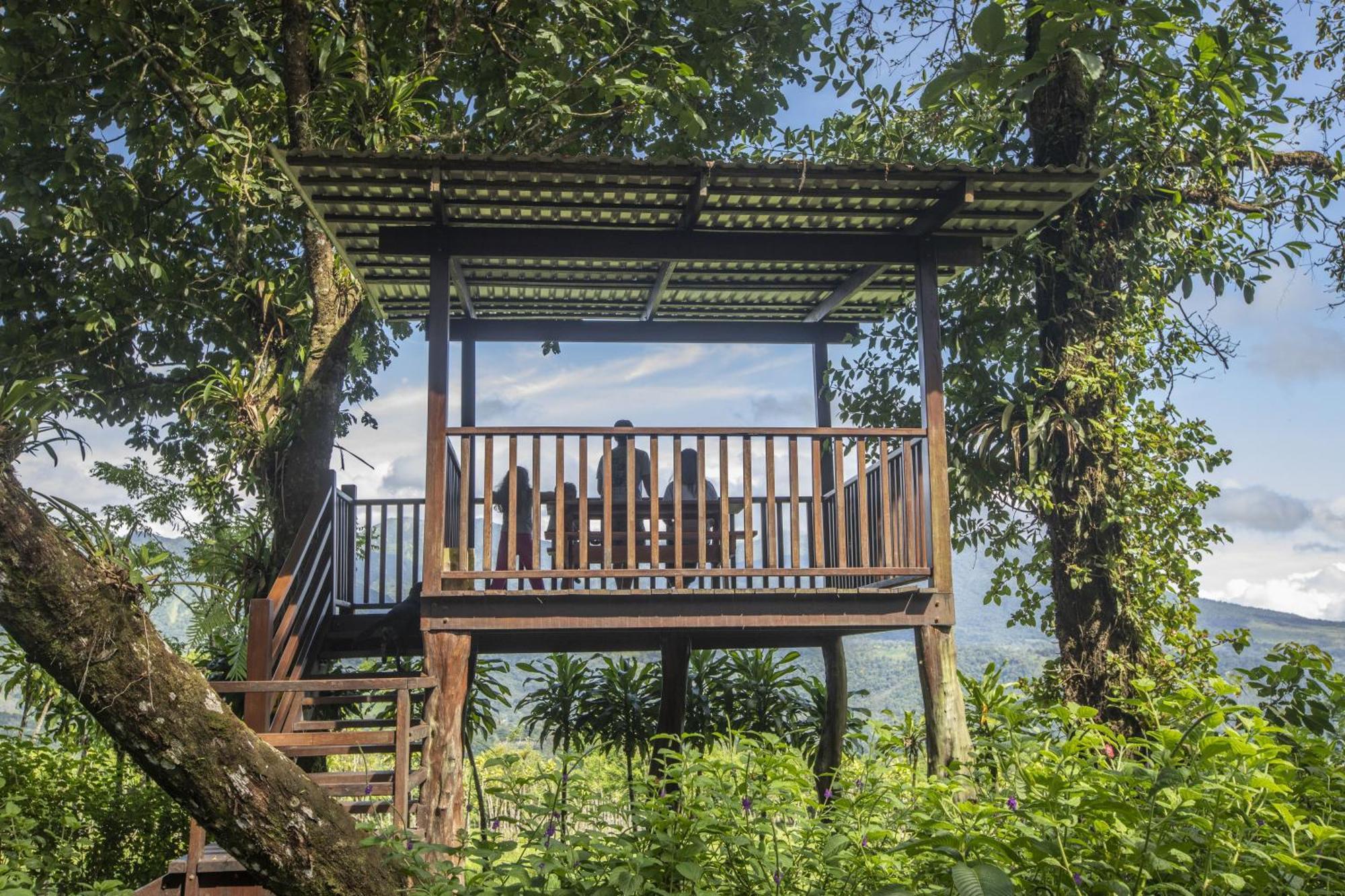 "Hana'S Celeste Retreat" Large Modern Villa Sleeps 6 On 20 Acres Of Nature! Bijagua de Upala Exterior foto
