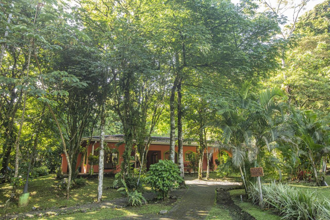 "Hana'S Celeste Retreat" Large Modern Villa Sleeps 6 On 20 Acres Of Nature! Bijagua de Upala Exterior foto